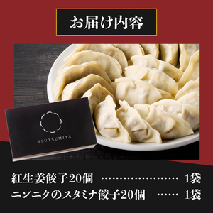 紅生姜餃子 スタミナ餃子 各20個(計40個) セット ギョーザ 創作餃子 野菜 ニンニク おかず おつまみ 食べ比べ 特製 中華 食品 冷凍発送 富士市 [sf001-221]