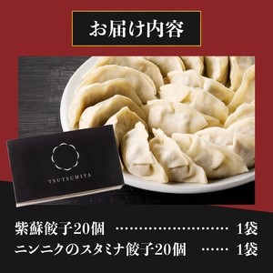 紫蘇餃子 スタミナ餃子 各20個(計40個) セット ギョーザ しそ ニンニク おかず おつまみ 食べ比べ 特製 中華 食品 冷凍発送 富士市 [sf001-223]