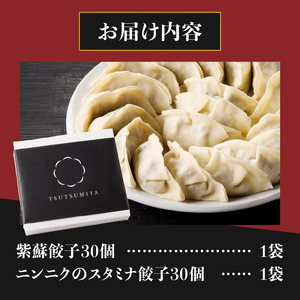 紫蘇餃子 スタミナ餃子 各30個(計60個) セット ギョーザ しそ ニンニク おかず おつまみ 食べ比べ 特製 中華 食品 冷凍発送 富士市 [sf001-224]