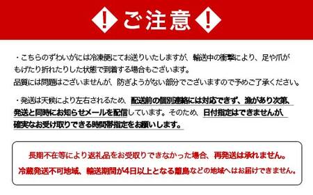 【順次発送】【訳あり】浜茹でオオズワイガニ 2.0kg 詰め込みセット 北海道噴火湾産 ＜道産ネットミツハシ＞ かに カニ 蟹 がに 北海道 森町 ふるさと納税 mr1-1338