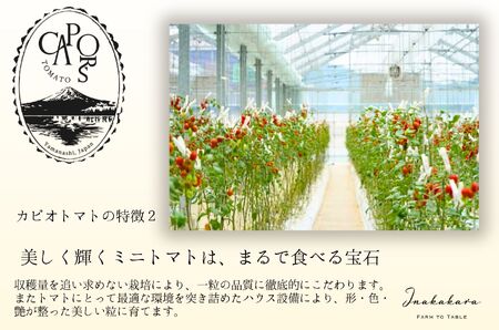 【山梨県南部町 共通返礼品】【高糖度・栄養満点】カピオトマトジュースプレミアム 720ml×1本 株式会社アクロプラス [5839-2226]