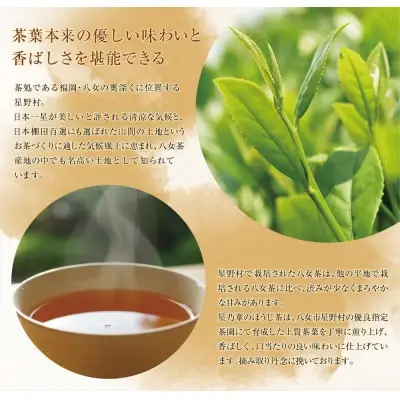 Y26-16 八女ほうじ茶 ティーバッグ3g×200個入 ほうじ茶