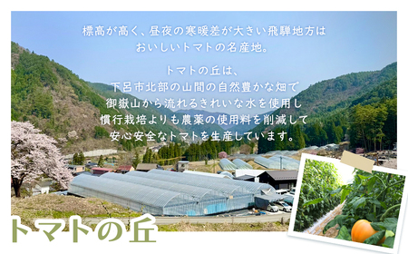 先行予約（2026年8月から順次発送）飛騨産 100％ 無添加トマトジュース（1L×4本入り）【113-2】