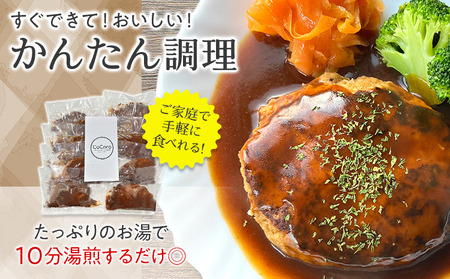 手捏ね デミグラス ハンバーグ 10個 ハンバーグ 手ごね デミグラス 国産 晩御飯 おかず お弁当 冷凍 合挽 レンジ 温めるだけ レンチン 湯銭 福岡 お土産 九州 福岡土産 福岡県