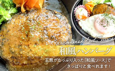 【定期便】どっちも食べたい デミグラスハンバーグ＆和風ハンバーグ （合計4回） ハンバーグ 手ごね 和風 デミグラス 国産 晩御飯 おかず お弁当 冷凍 合挽 レンジ 温めるだけ レンチン 湯銭 二種 福岡 お土産 九州 福岡土産 福岡県