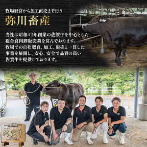OC14x1 佐賀牛 ローストビーフ 計480g  （2個で） ブロック 国産牛 和牛 ブランド牛 佐賀牛 牛肉 肉 高級 人気 おすすめ ギフト 贈答 佐賀県 太良町