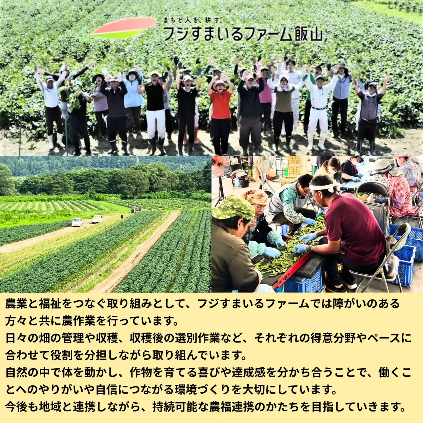 【先行予約】枝豆「雪音（ゆきね）」2.5kg (250g × 10袋）《2026年8月下旬より発送予定》信州飯山 木島産(Cg-001)
