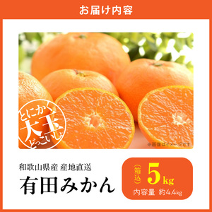 MK1033_【2026年先行予約】みかん 大玉 どっこいしょ 箱込 5kg ( 内容量 4.4kg ) 2Lサイズ以上 秀品 優品 混合 有田みかん 和歌山県産 産地直送 【みかんの会】