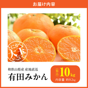 MK1034_【2026年先行予約】みかん 大玉 どっこいしょ 箱込 10kg ( 内容量 9.2kg ) 2Lサイズ以上 秀品 優品 混合 有田みかん 和歌山県産 産地直送 【みかんの会】