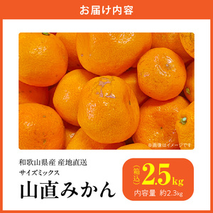 MK1037_【2026年先行予約】みかん 山から直送 箱込 2.5kg ( 内容量 2.3kg ) 鮮度優先ごろごろ規格 和歌山県産 産地直送 【みかんの会】