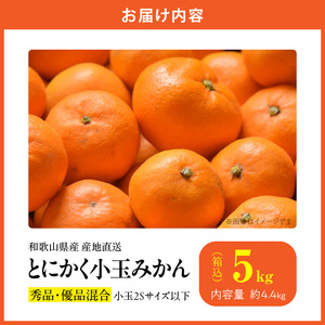 MK1040_【2026年先行予約】みかん とにかく 小玉 箱込 5kg ( 内容量 4.4kg ) 2Sサイズ以下 秀品 優品 混合 有田みかん 和歌山県産 産地直送 【みかんの会】