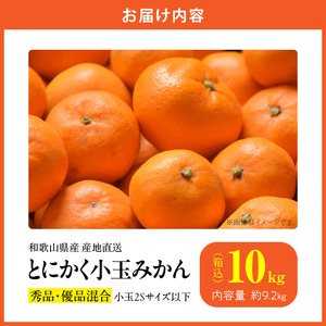 MK1041_【2026年先行予約】みかん とにかく 小玉 箱込 10kg ( 内容量 9.2kg ) 2Sサイズ以下 秀品 優品 混合 有田みかん 和歌山県産 産地直送 【みかんの会】