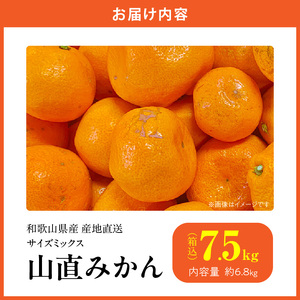 MK1051_【2026年先行予約】みかん 山から直送 箱込 7.5kg ( 内容量 6.8kg ) 鮮度優先ごろごろ規格 和歌山県産 産地直送 【みかんの会】