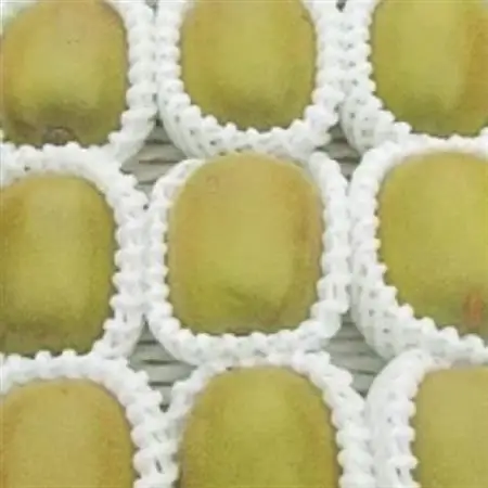 【2026発送】レッドキウイフルーツ化粧箱入り　産地直送約1.5kg(12～18玉)【配送不可地域：離島】【1178165】