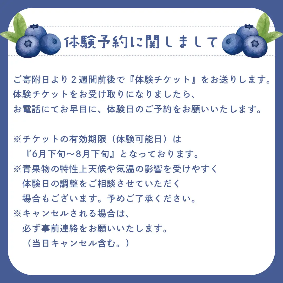 ブルーベリー狩り 体験チケット 《親子プラン お土産付き》 ブルーベリー ベリー 食べ比べ 食べ放題 収穫 収穫体験 体験 チケット 招待券 レジャー 観光 旅行 親子 ふれあい お土産 おみやげ 持ち帰り テイクアウト 多品種 果実 果物 くだもの フルーツ 自然体験 農業体験 茨城県 桜川市 [DZ008sa]