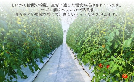 QUON トマトジュース 180ml×4本[ 甘い トマト 野菜 野菜ジュース ジュース ]