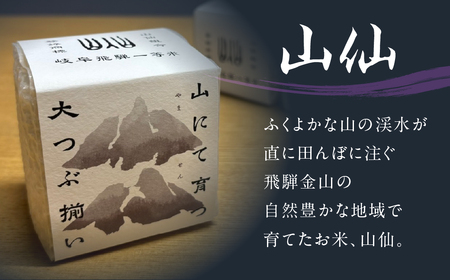 特別純米酒飛切り 720ml 1本・山仙キューブ米3個（1個 300g）【2-50】