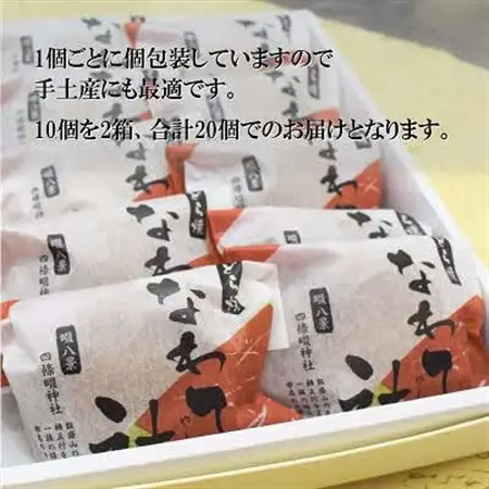 どら焼き なわて社 20個(10個×2箱) 御菓子司 大徳屋 こだわりの手作り和菓子【1094609】