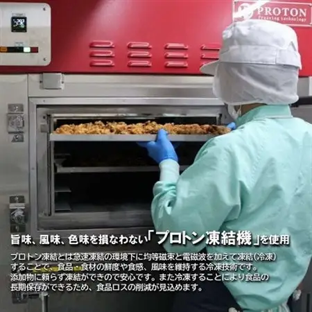 空とぶからあげ 750g(250g×3パック)オカンの特性塩ダレ味 電子レンジで温めるだけ 冷凍便【配送不可地域：離島】【1257667】