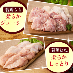 【業務用】 宮崎県産 若鶏もも・むねセット 計4kg（ 鶏肉大容量 国産鶏 鶏肉 鶏 お肉 若鶏 鶏もも 鶏むね肉 宮崎県産 鶏 ）