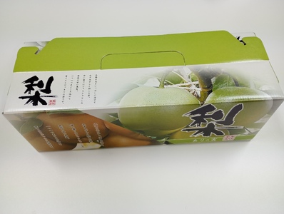 【先行予約】井上農園 梨 ”二十世紀梨” 3玉入り（約1kg）｜鳥取 岩美 梨 なし ナシ※お届けは2026年8月下旬以降【41031】