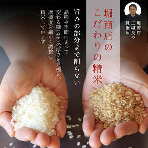 新潟産コシヒカリ 10kg 米 精米 白米 こめ コメ お米 おこめ コシヒカリ こしひかり 新潟 新潟県 米どころ