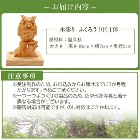 木彫り ふくろう (中)【1186217】
