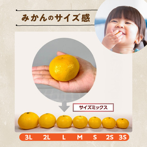 MK1069_【2026先行予約】訳あり ゆら早生 みかん 箱込 2.5kg ( 内容量 2.3kg ) サイズミックス 有田みかん 和歌山県産