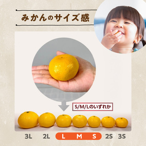 MK1070_【2026年先行予約】みかん 極早生 箱込10kg（内容量9.2kg）おまかせサイズ（S/M/L）秀品・優品 の混合 有田みかん 和歌山県産