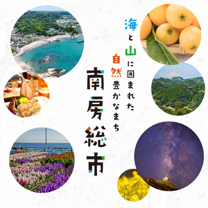 【先行受付 2026年6月上旬～7月下旬発送予定】【千葉県産】ヤングコーン40本 mi0113-0001