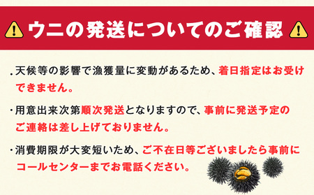 【期間限定】稚内の厳選ムラサキウニ 生パック 獲れたて即日発送!100g×2パック