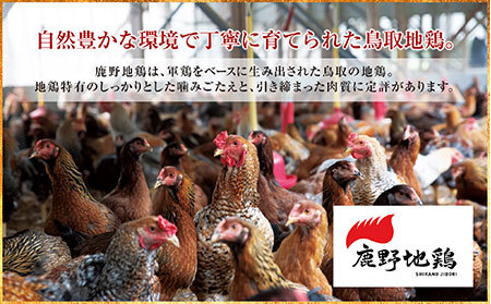 鹿野地鶏モモ・ムネセット_T2600379