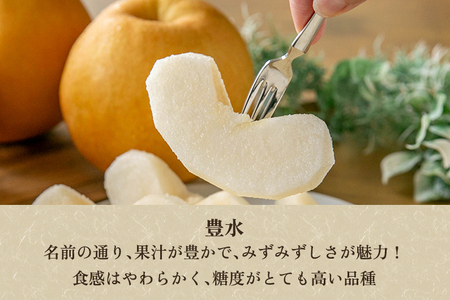 【2025年先行予約】新潟県加茂市産 和梨 豊水3kg（5～9玉）〈9月上旬～順次出荷〉ほうすい