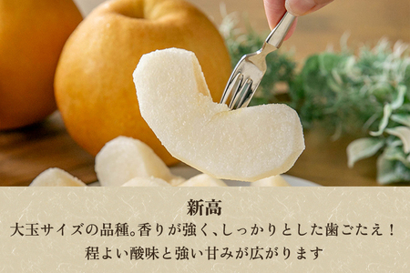 【2026年先行予約】新潟県加茂市産 和梨 新高5kg（6～12玉）〈10月上旬～順次出荷〉にいたか