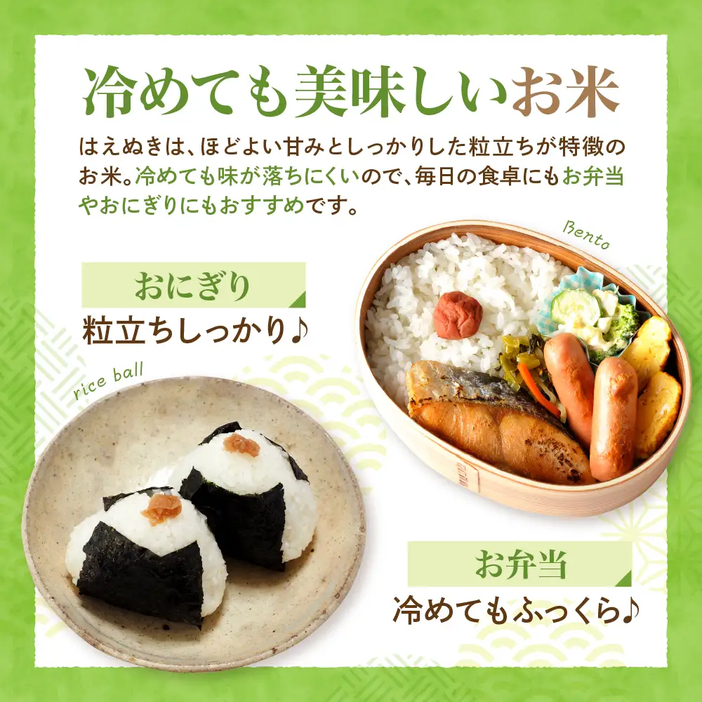 米 はえぬき 5kg 令和7年産 8月上旬発送 山形県産 米 はえぬき