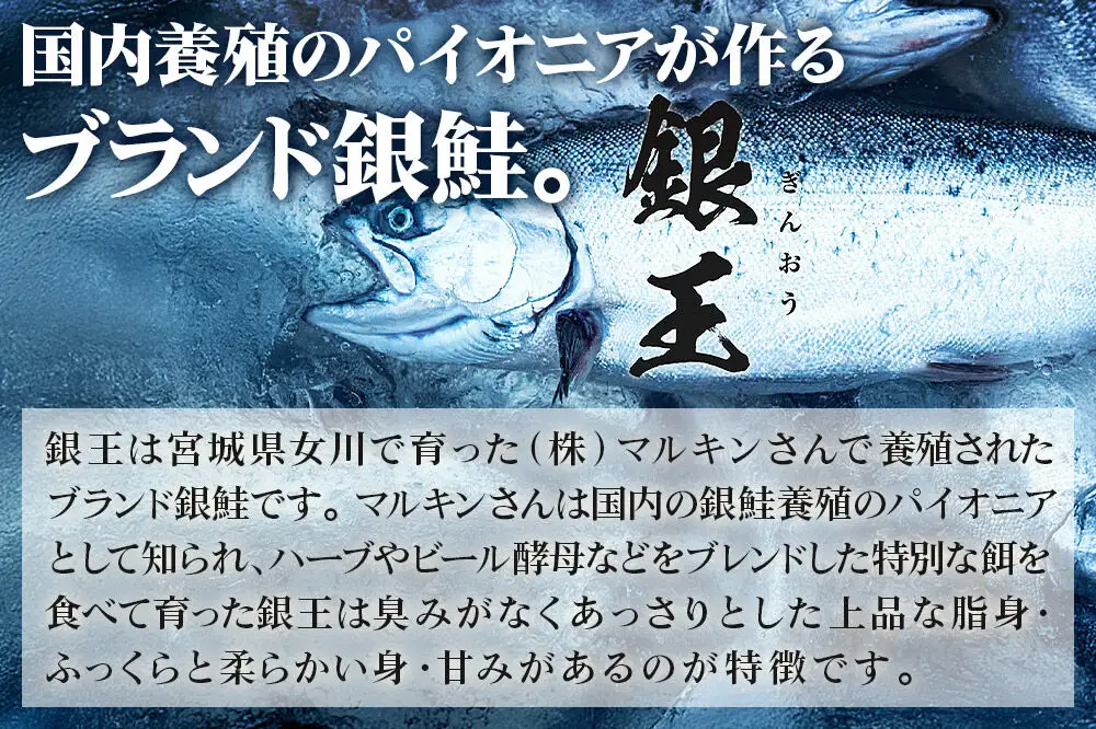 銀鮭 骨取切り身 約30g×20枚 計600g  センシン食品