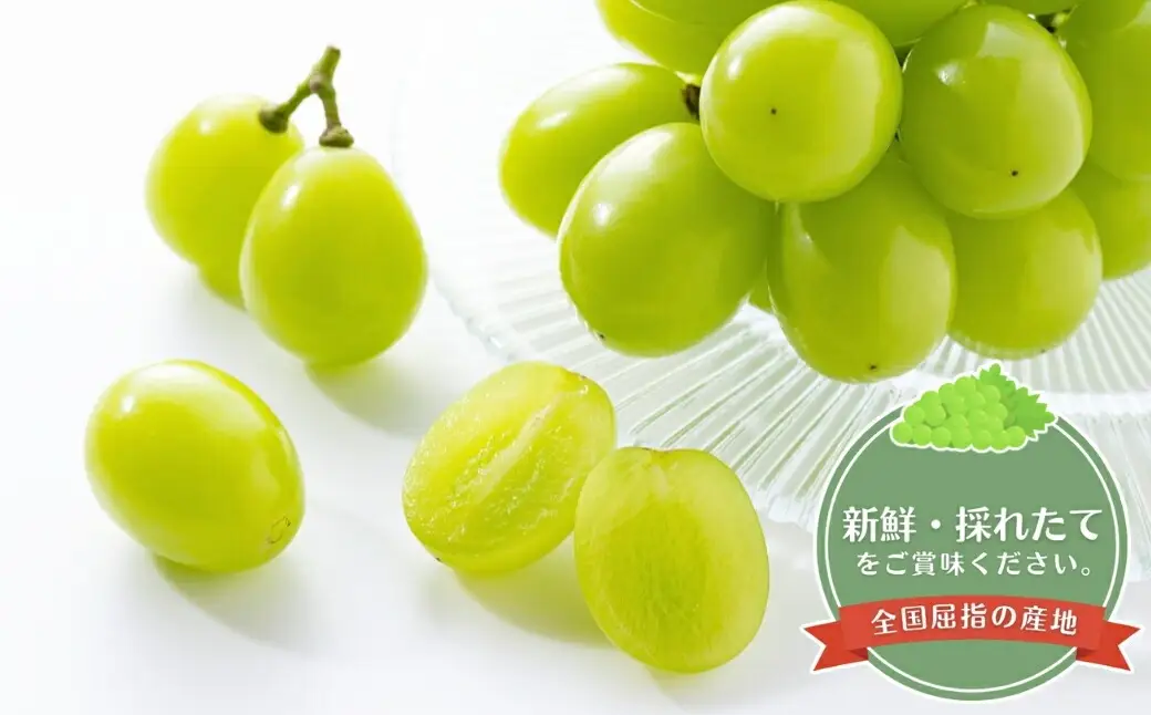 【2026年先行予約】 シャインマスカット 約500g・りんご3種詰め合わせ 計約2kg（5~8玉）セット ぶどう 葡萄 マスカット 林檎 詰合せ| シャインマスカット