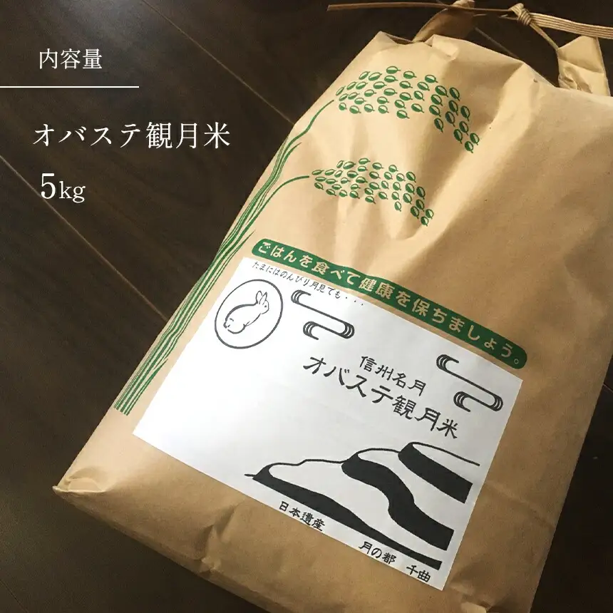 【2026年先行予約】夏のりんご サンつがる 約5㎏ ｜ りんご