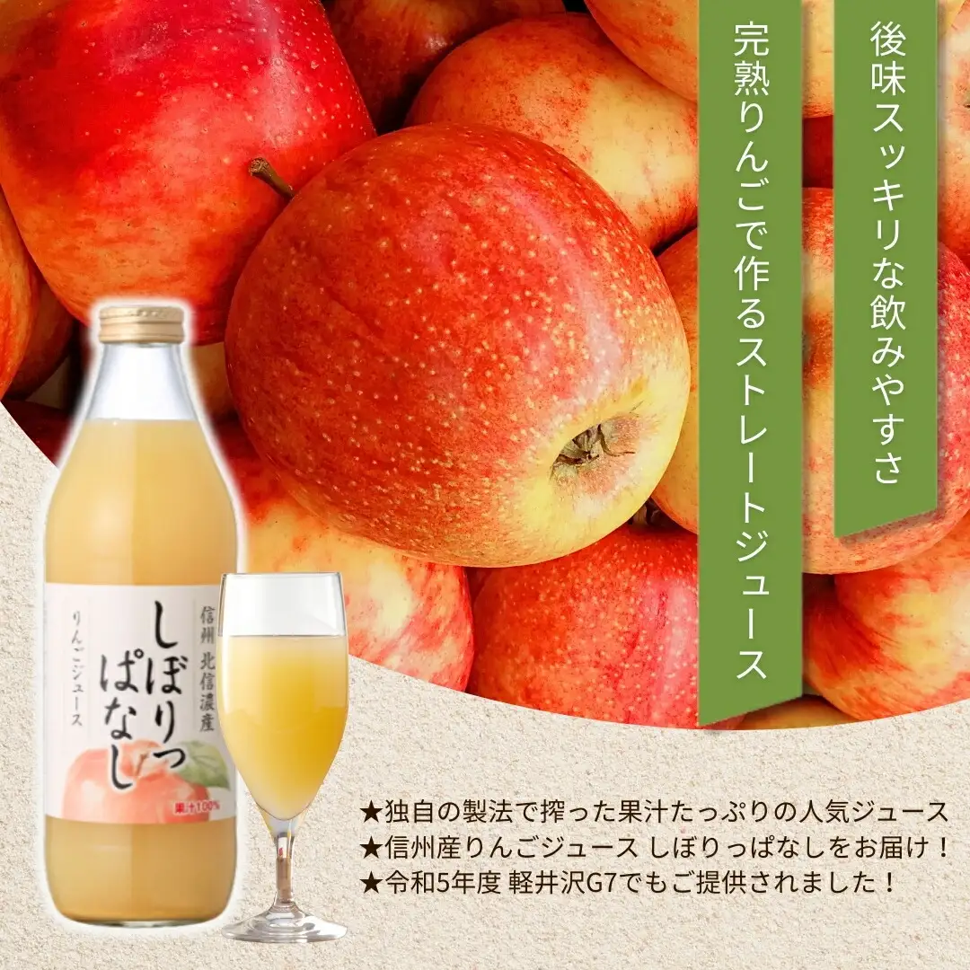 【定期便12ヶ月】信州産 りんごジュース 「しぼりっぱなし」 ストレート果汁100％ (1L×6本)|りんごジュース