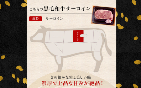 黒毛和牛 サーロインステーキ 400g（200g×2袋） / 黒毛和牛