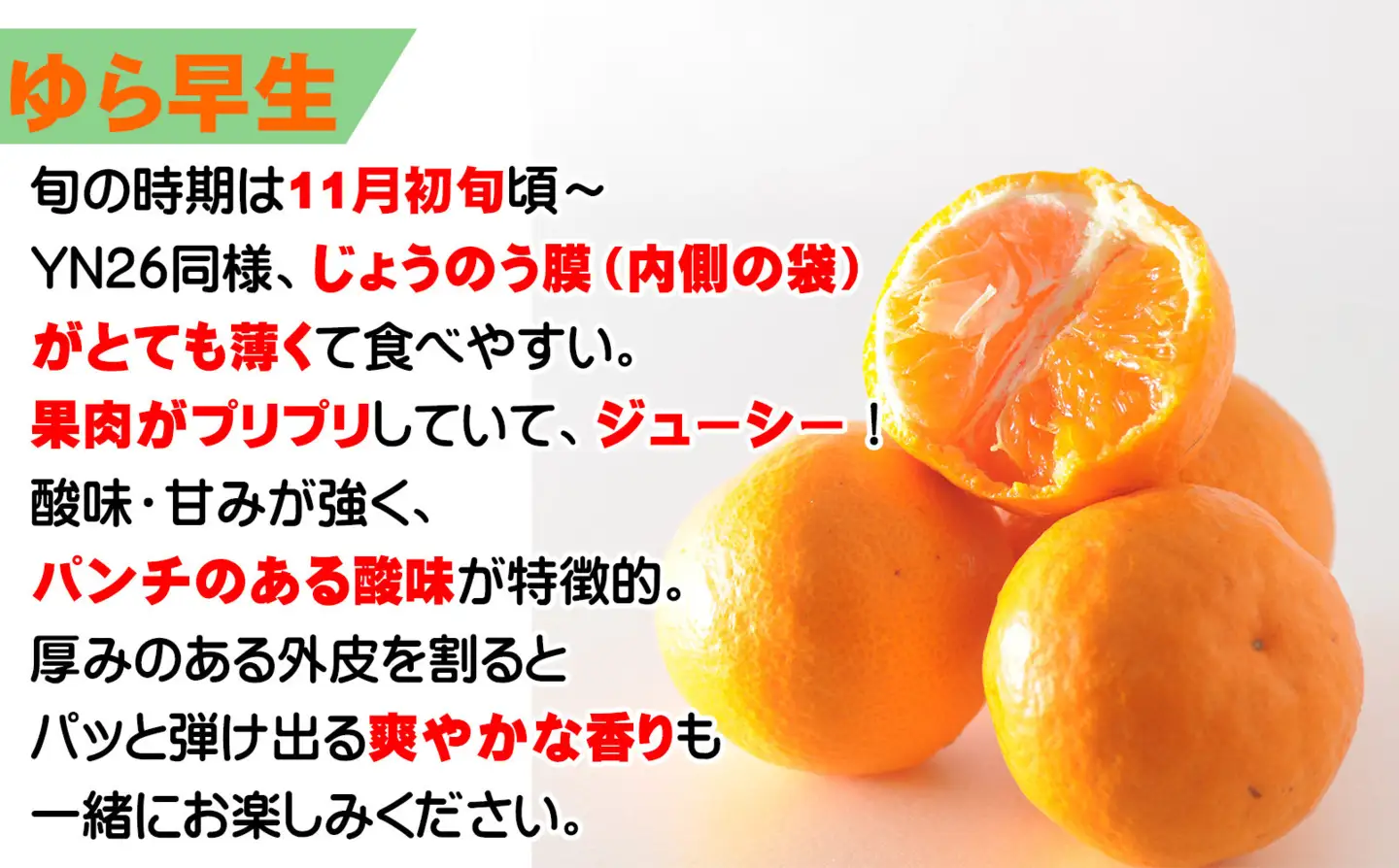 ゆら早生みかん 3kg 2S・3Sサイズ 和歌山県海南市鈴木農園から直送 ゆら早生みかん YN26