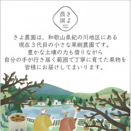 先行受付　柿(種無し)　赤秀品大玉　6個入　約1.8kg【配送不可地域：離島】【1616656】