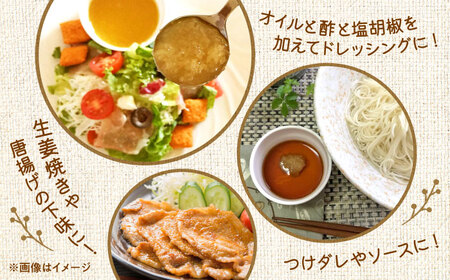 料理に使えるしょうが＆レモン 約150g×5個 セット 合計約750gジャム[AYAD006]
