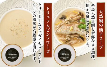 【全6回定期便】SoupSelect 2点セット 糸島市 / 糸島正キ スープ レトルト [AQA072]
