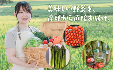【先行予約】有機野菜セット 5種 野菜 セット 有機栽培 ミニトマト アスパラ ほうれん草 水菜 春菊 高糖度 新鮮 産地直送 季節の野菜 詰め合わせ やさい 自然 安心安全 旬 有機 送料無料 愛知県 豊橋市