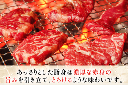 牛肉 和牛 長崎和牛 焼肉 4種 セット 各100g 計400g 詰め合わせ [黒牛 長崎県 東彼杵町 hs42bag750001]