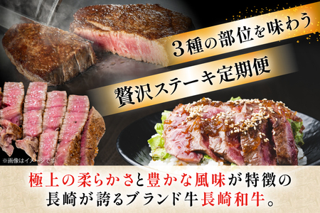 牛肉 和牛 定期便 長崎和牛 ステーキ 食べ比べ 3回 ヒレ ランプ サーロイン 総計1.0kg [黒牛 長崎県 東彼杵町 hs42bag750004]