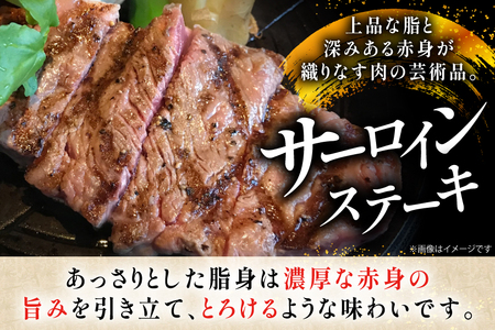 牛肉 長崎和牛 サーロイン ステーキ 200g 4枚 800g [黒牛 長崎県 東彼杵町 hs42bag750025]
