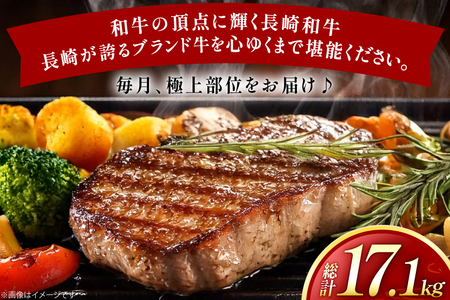 牛肉 和牛 牛一頭プレミアム定期便「長崎和牛をまるごと堪能」 12回 総計17.1kg [黒牛 長崎県 東彼杵町 hs42bag750073]