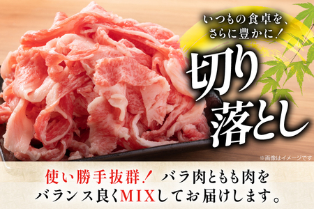 牛肉 和牛 長崎和牛 切り落とし 700g [黒牛 長崎県 東彼杵町 hs42bag750081]